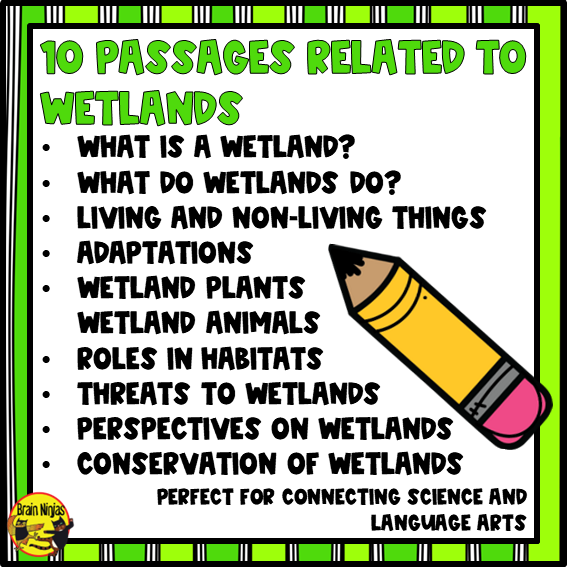 Wetlands Reading Passages | Paper and Digital