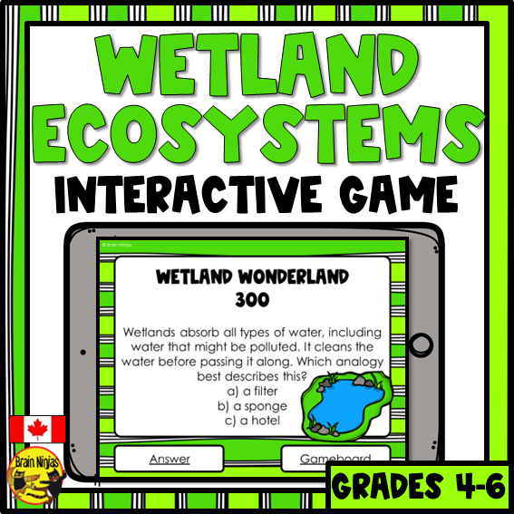 Wetlands Interactive Review Game | Digital