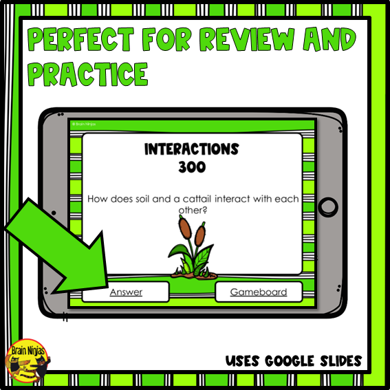 Wetlands Interactive Review Game | Digital