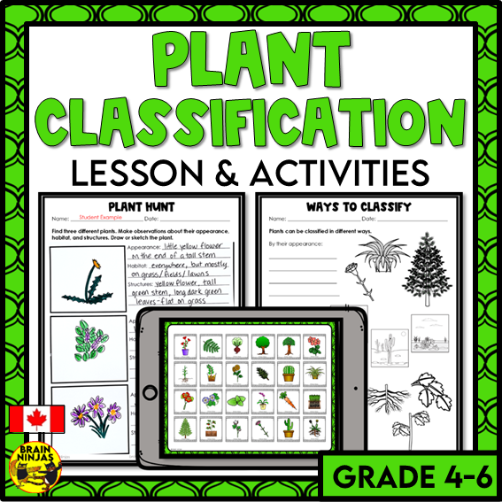 Plant Classification Lesson and Activities | Paper and Digital