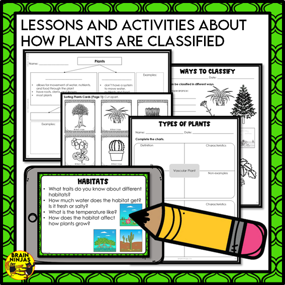 Plant Classification Lesson and Activities | Paper and Digital