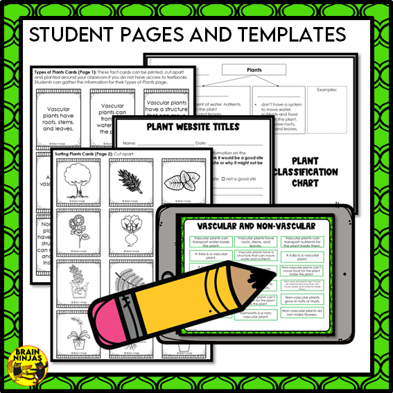 Plant Classification Lesson and Activities | Paper and Digital
