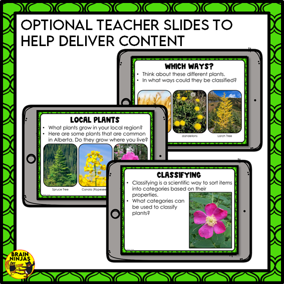 Plant Classification Lesson and Activities | Paper and Digital