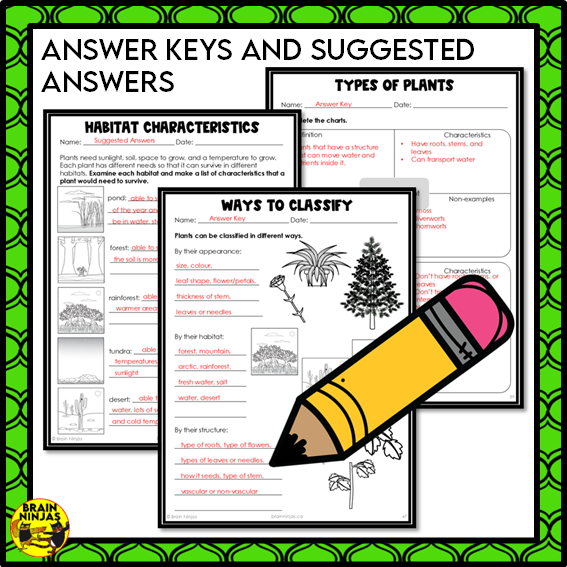 Plant Classification Lesson and Activities | Paper and Digital