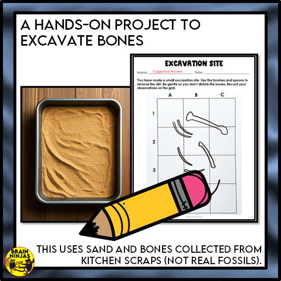 Alberta's Dinosaurs Lessons and Activities | Paper and Digital