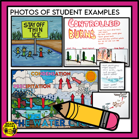 Alberta Science Grade 3 Full Year Lessons and Activities Bundle | Paper and Digital