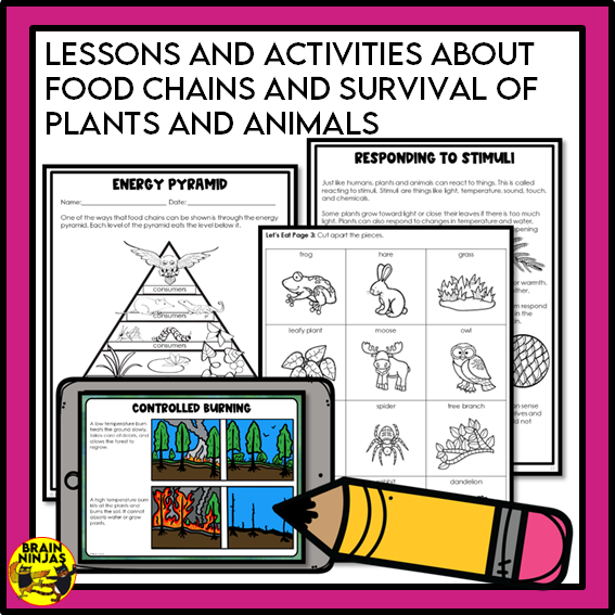 Alberta Science Grade 3 Full Year Lessons and Activities Bundle | Paper and Digital
