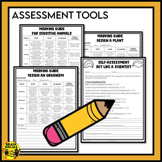 Alberta Science Living Systems Unit Grade 4 Bundle | Paper and Digital