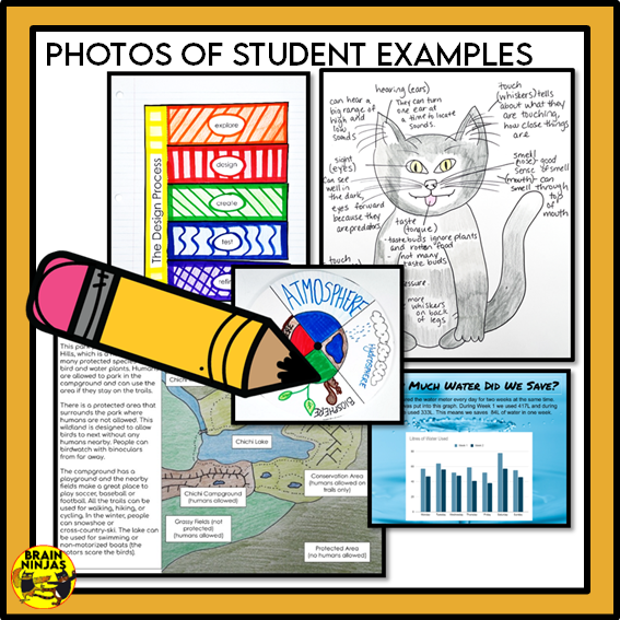 Alberta Science Grade 4 Full Year Lessons and Activities Bundle | Pape ...
