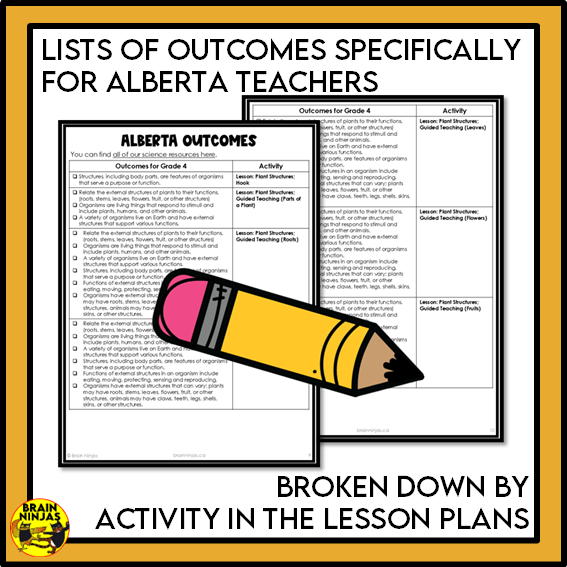 Alberta Science Grade 4 Full Year Lessons and Activities Bundle | Paper and Digital
