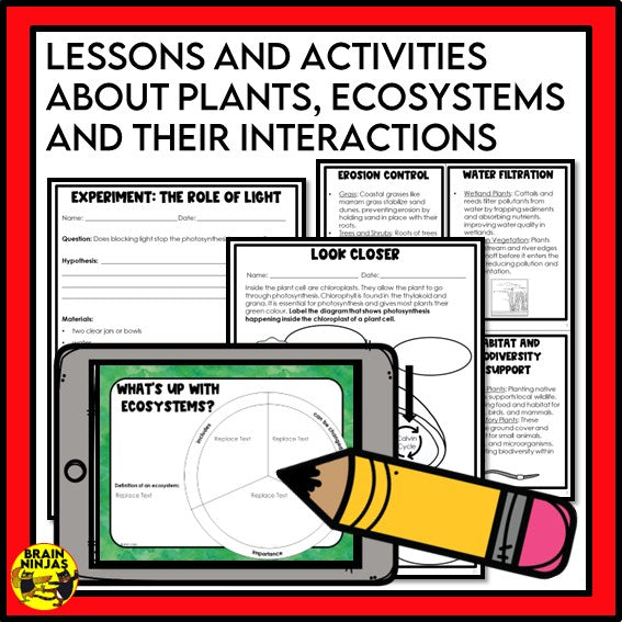 Alberta Science Grade 6 Full Year Lessons and Activities Bundle | Paper and Digital