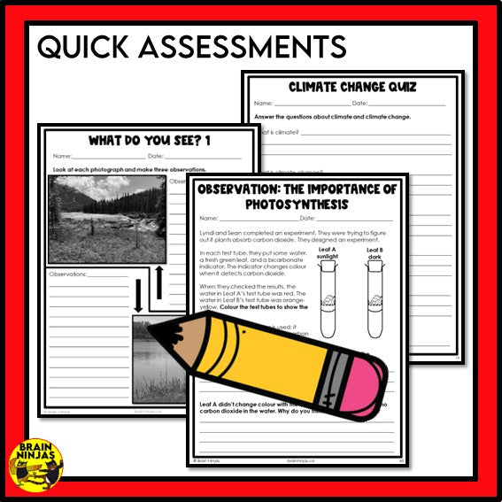 Alberta Science Grade 6 Full Year Lessons and Activities Bundle | Paper and Digital