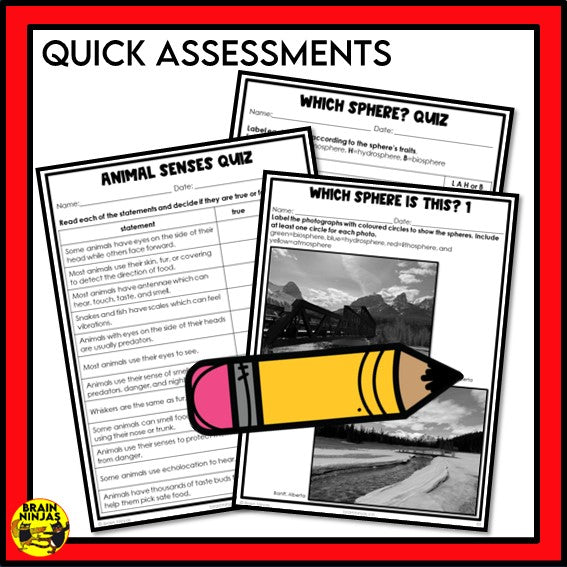 Alberta Science Grade 4 Full Year Lessons and Activities Bundle | Paper and Digital