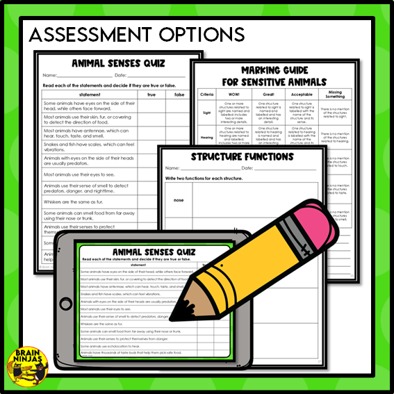 Animal Senses Lesson and Activities | Digital and Paper