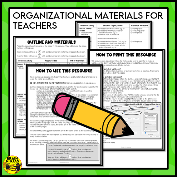 Animal Senses Lesson and Activities | Digital and Paper