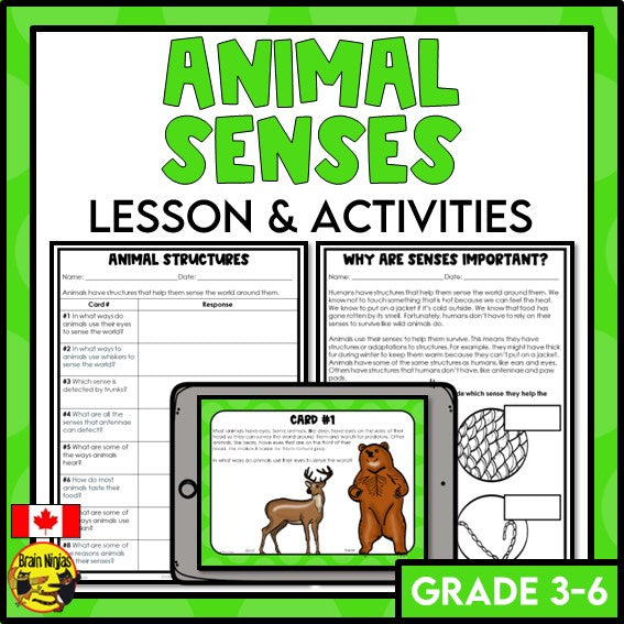 Animal Senses Lesson and Activities | Digital and Paper