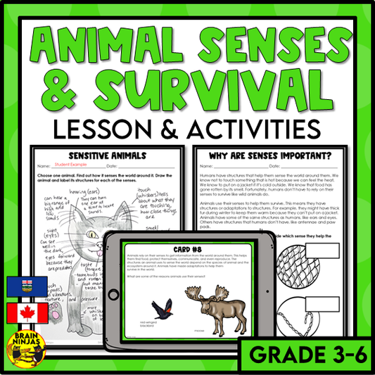 Animal Senses Lesson and Activities | Digital and Paper