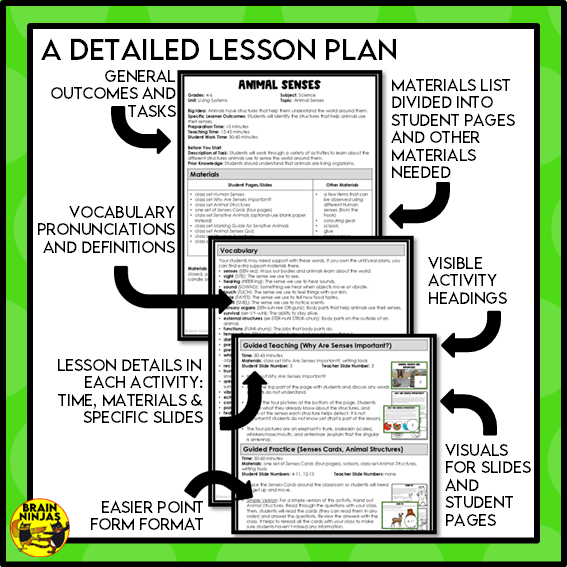 Animal Senses Lesson and Activities | Digital and Paper