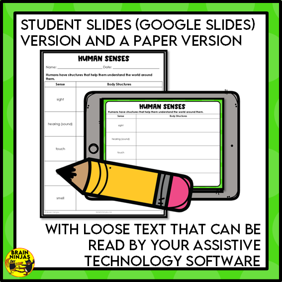 Animal Senses Lesson and Activities | Digital and Paper