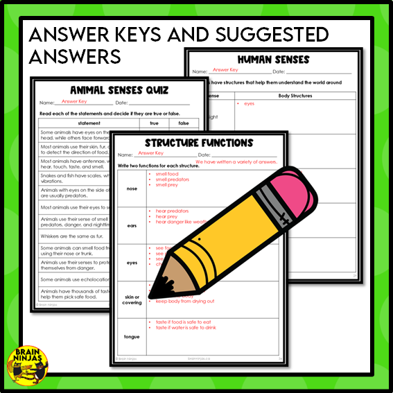 Animal Senses Lesson and Activities | Digital and Paper