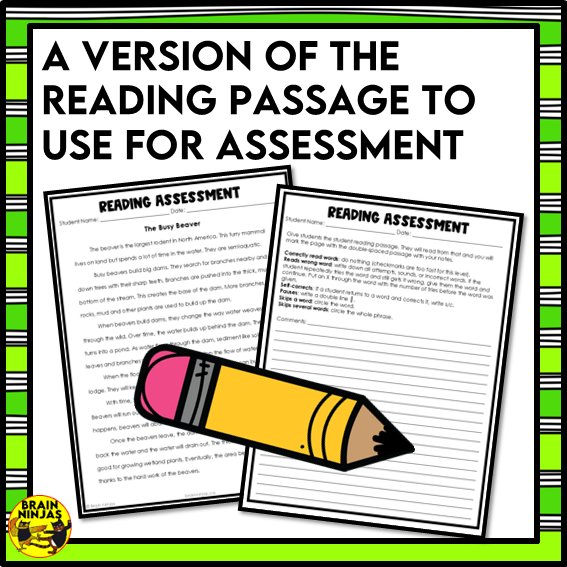 Beavers Reading Comprehension Activities | Paper and Digital