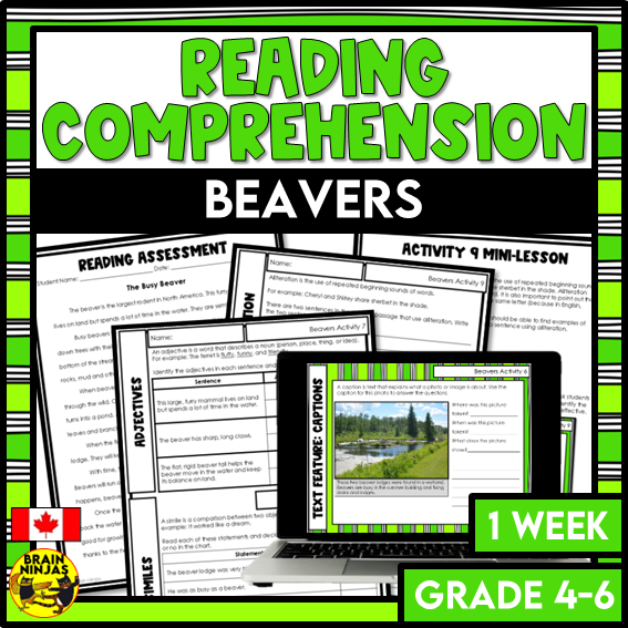 Beavers Reading Comprehension Activities | Paper and Digital