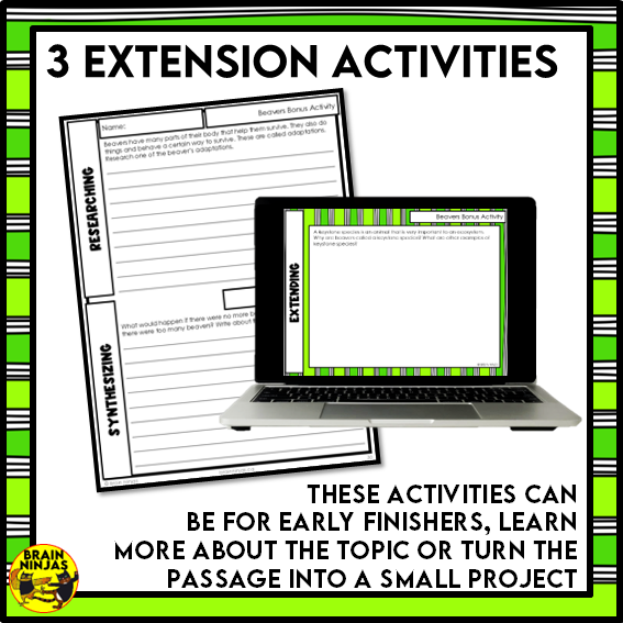 Beavers Reading Comprehension Activities | Paper and Digital