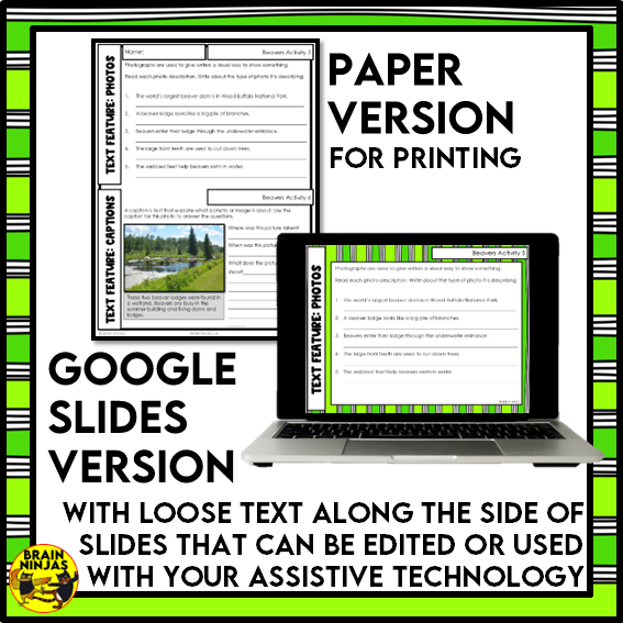 Beavers Reading Comprehension Activities | Paper and Digital