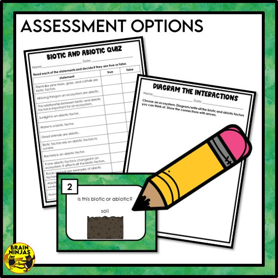 Biotic and Abiotic Factors in Ecosystems Lesson and Activities | Paper and Digital