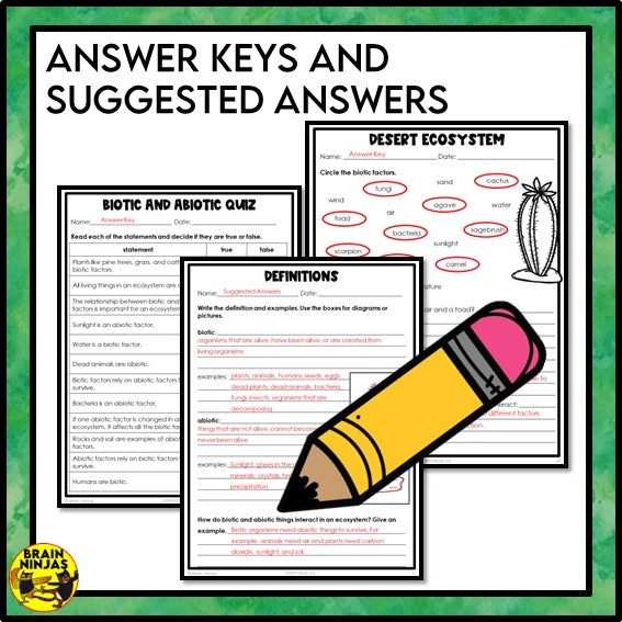 Biotic and Abiotic Factors in Ecosystems Lesson and Activities | Paper and Digital