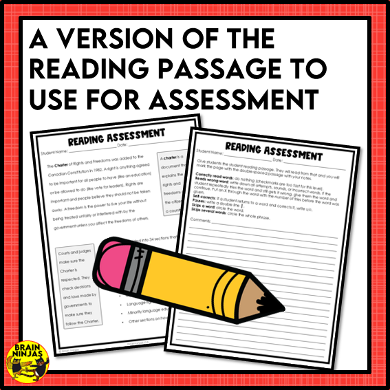 Canadian Charter of Rights Reading Comprehension Activities | Paper and Digital