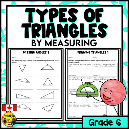 Types of Triangles by Measuring Math Worksheets | Paper