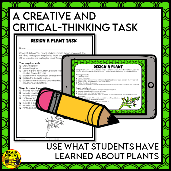 Design a Plant Creative Thinking Activity | Paper and Digital