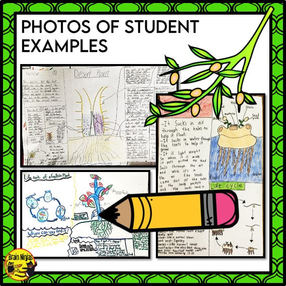 Design a Plant Creative Thinking Activity | Paper and Digital