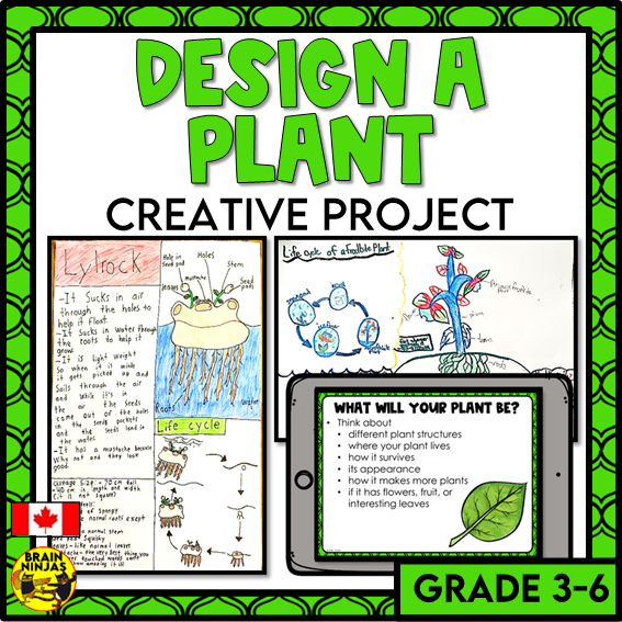 Design a Plant Creative Thinking Activity | Paper and Digital