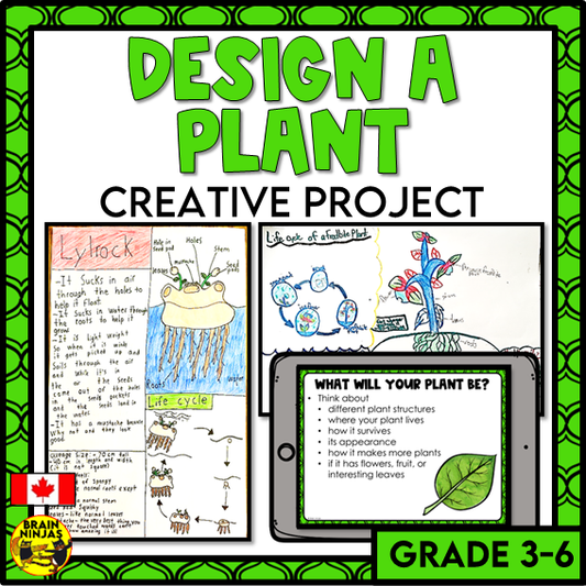 Design a Plant Creative Thinking Activity | Paper and Digital