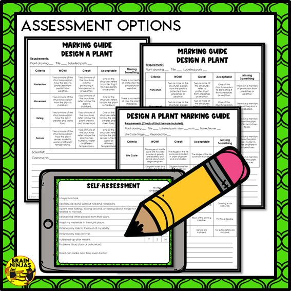 Design a Plant Creative Thinking Activity | Paper and Digital