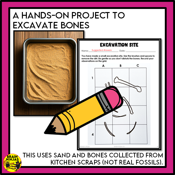 Earth Systems Unit Alberta Grade 3 Science Lessons and Activities | Paper and Digital