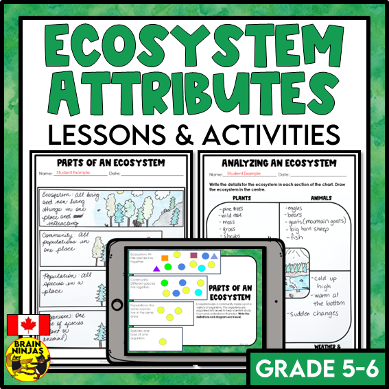 Ecosystem Attributes Lessons and Activities | Paper and Digital