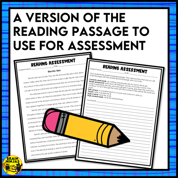 Electric Eels Reading Comprehension Activities | Paper and Digital