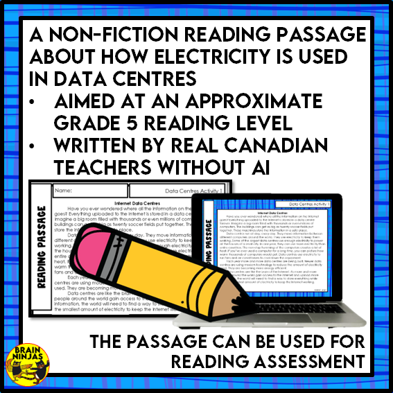 Internet Data Centres Reading Comprehension Activities | Paper and Digital