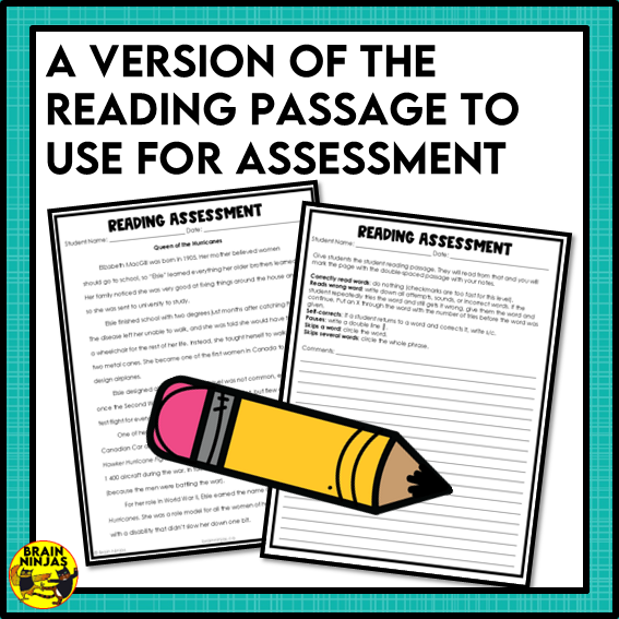 Elsie MacGill Reading Comprehension Activities | Paper and Digital