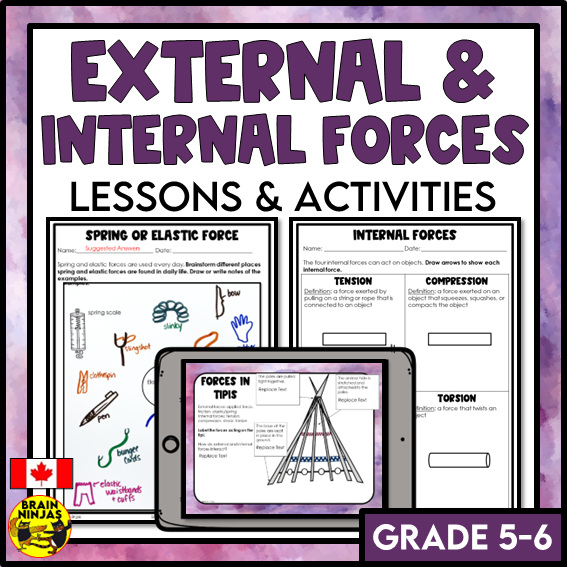 External Forces List External and Internal Forces Lessons and Activities | Paper and Digita ...