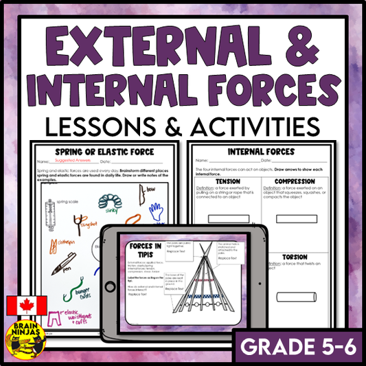 External and Internal Forces Lessons and Activities | Paper and Digital