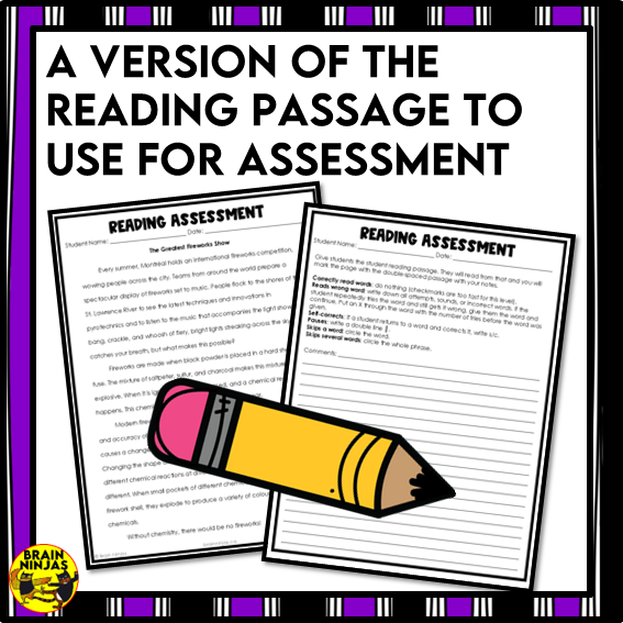 Fireworks Reading Comprehension Activities | Paper and Digital