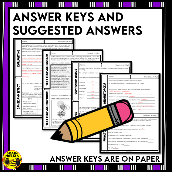 Fireworks Reading Comprehension Activities | Paper and Digital