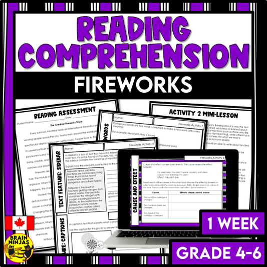 Fireworks Reading Comprehension Activities | Paper and Digital