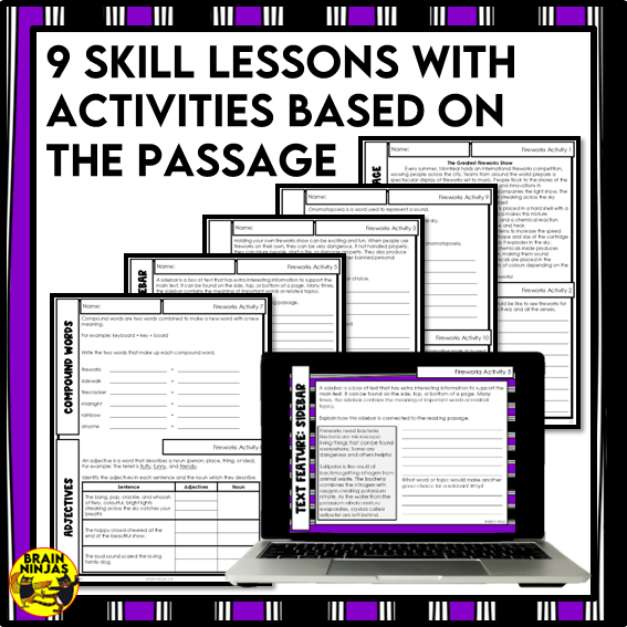 Fireworks Reading Comprehension Activities | Paper and Digital