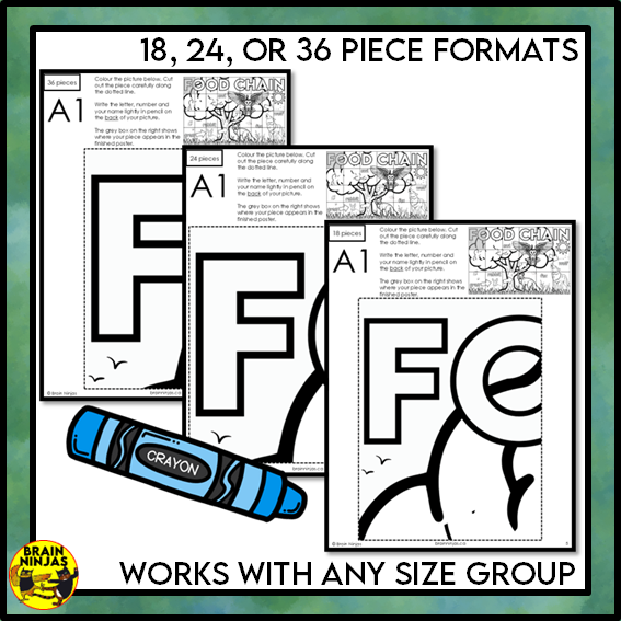 Food Chains Collaborative Poster Colouring Activity | Paper