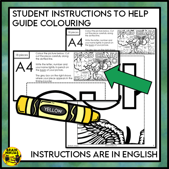 Food Chains Collaborative Poster Colouring Activity | Paper